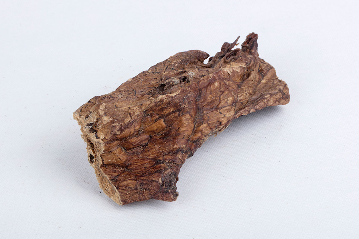 Dried Beef Lung Stick